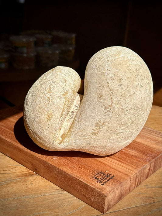 Caciocavallo Di Vincenzo - Queijo de Búfala com 12 Meses de Cura