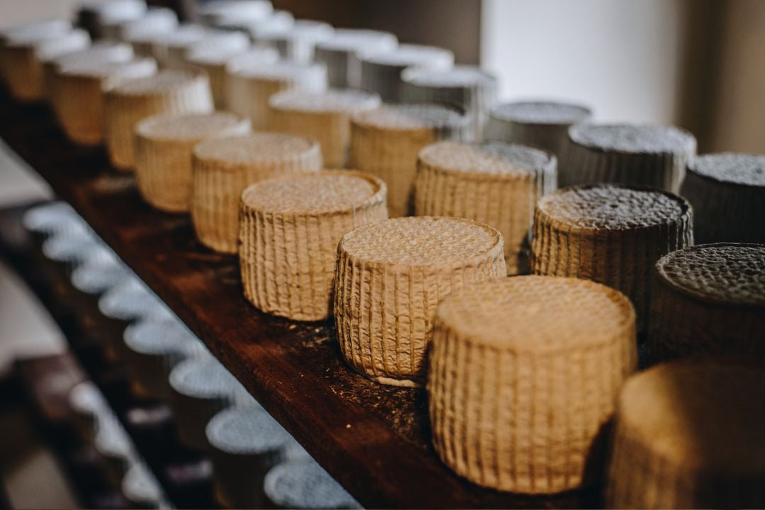 Queijo Celero - Celeiro do Queijo