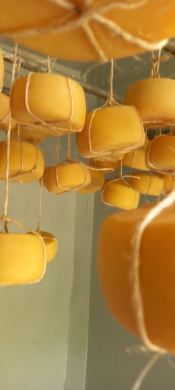 Queijo da Lucia Defumado - Sabores do Sítio - Fumacinha