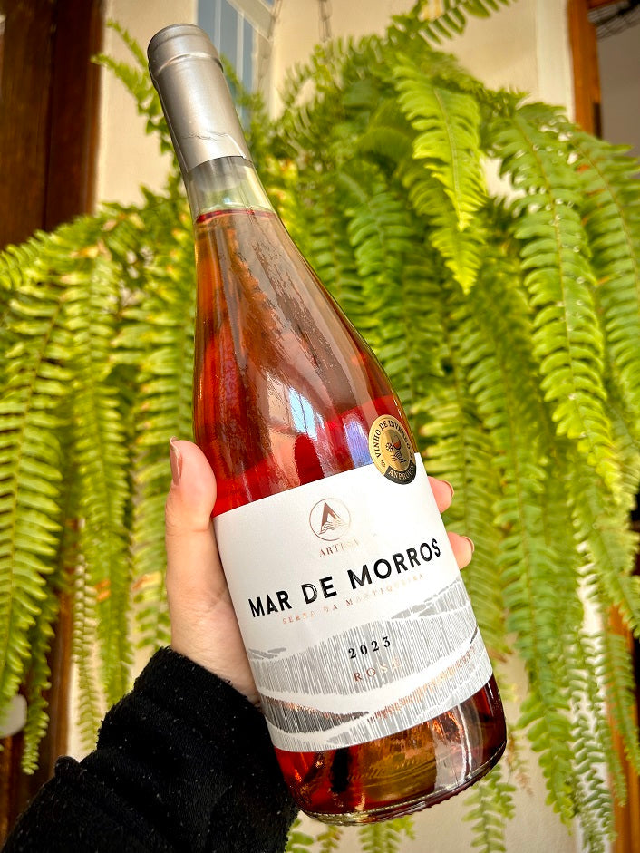 Vinho Mar de Morros Rosé 2023